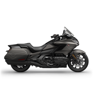 Gold Wing Bagger