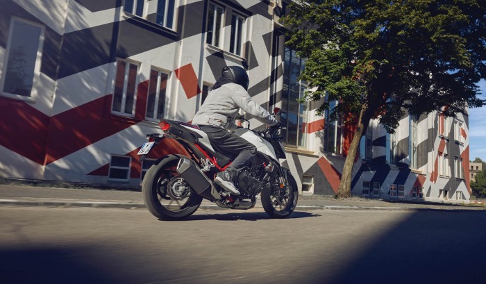 Assist/Slipper Clutch