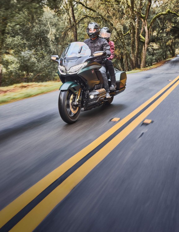 goldwing-bagger-product-page-hero-mobile-1600x2080-01