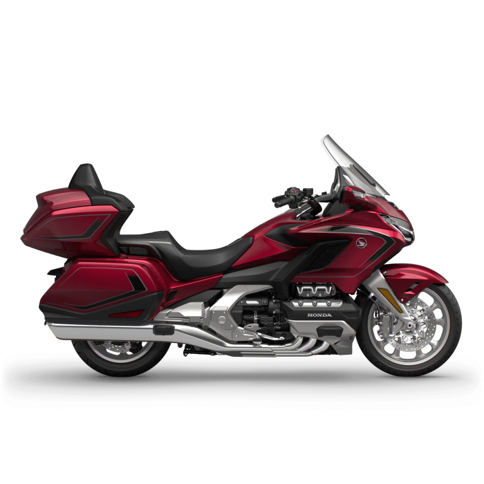 Gold Wing Tour