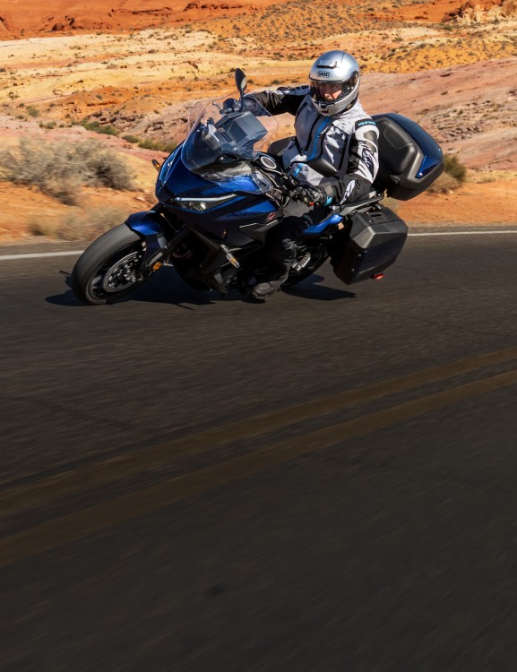 1084cc Parallel Twin Engine