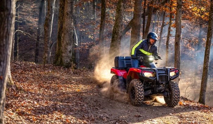 Programmed Fuel Injection